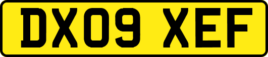 DX09XEF