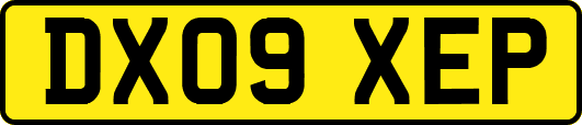 DX09XEP