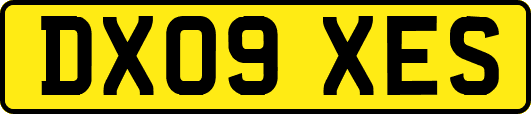 DX09XES