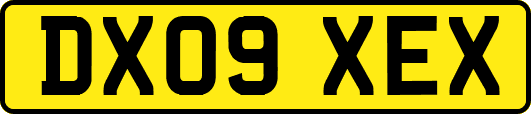 DX09XEX