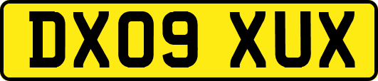 DX09XUX