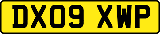 DX09XWP