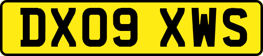 DX09XWS