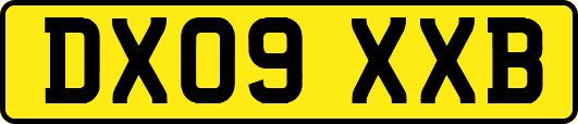 DX09XXB