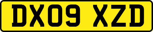 DX09XZD