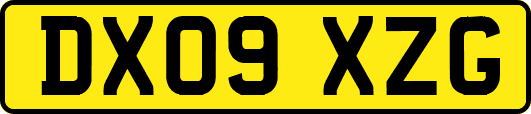 DX09XZG