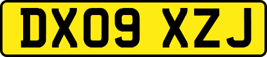 DX09XZJ