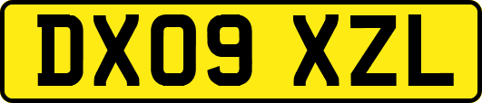 DX09XZL