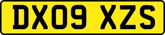 DX09XZS