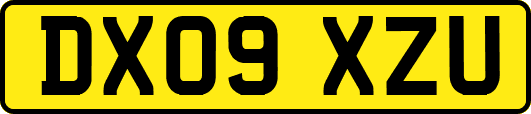 DX09XZU