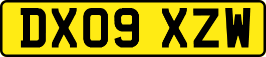 DX09XZW