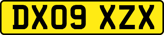 DX09XZX