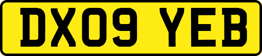 DX09YEB