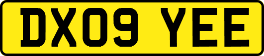 DX09YEE