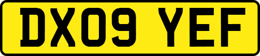 DX09YEF