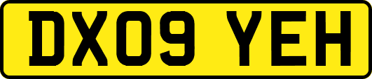 DX09YEH
