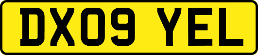 DX09YEL