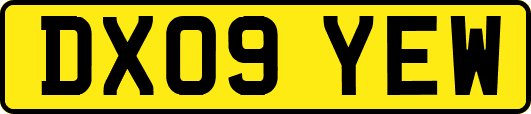 DX09YEW