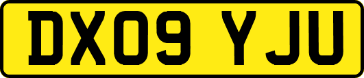 DX09YJU