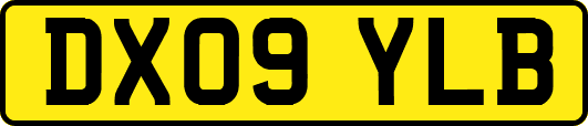 DX09YLB
