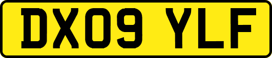 DX09YLF