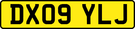 DX09YLJ