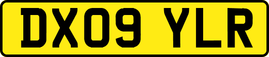 DX09YLR