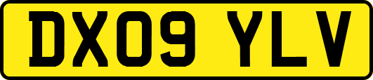 DX09YLV