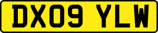 DX09YLW