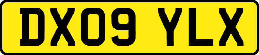 DX09YLX