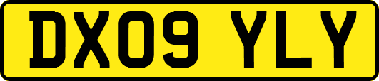 DX09YLY