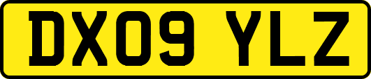 DX09YLZ