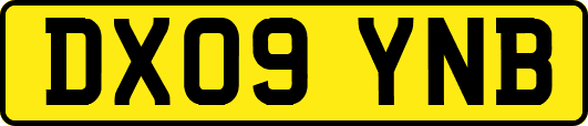 DX09YNB