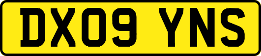 DX09YNS