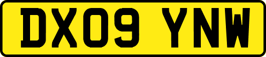 DX09YNW