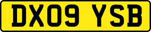 DX09YSB