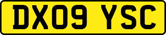 DX09YSC