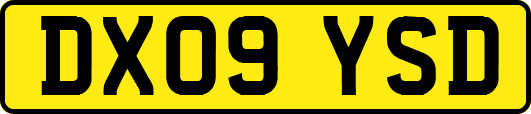 DX09YSD