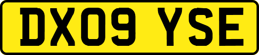 DX09YSE