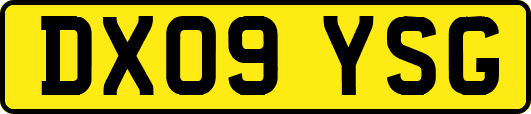 DX09YSG