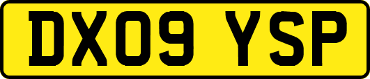 DX09YSP