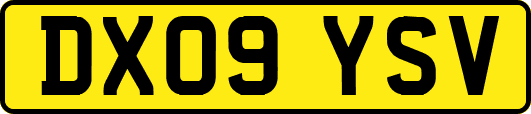 DX09YSV
