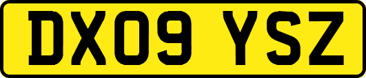 DX09YSZ