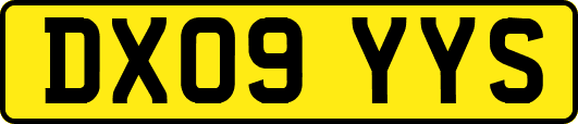 DX09YYS