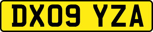 DX09YZA