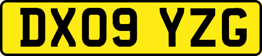 DX09YZG