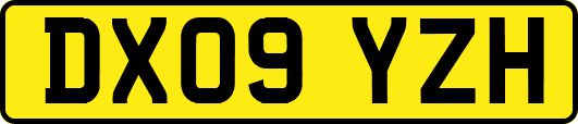 DX09YZH