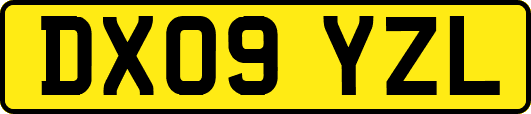 DX09YZL