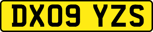 DX09YZS