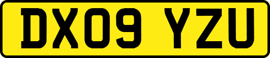 DX09YZU